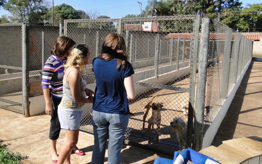 Juliana Damus vistoria construção de novo abrigo para animais