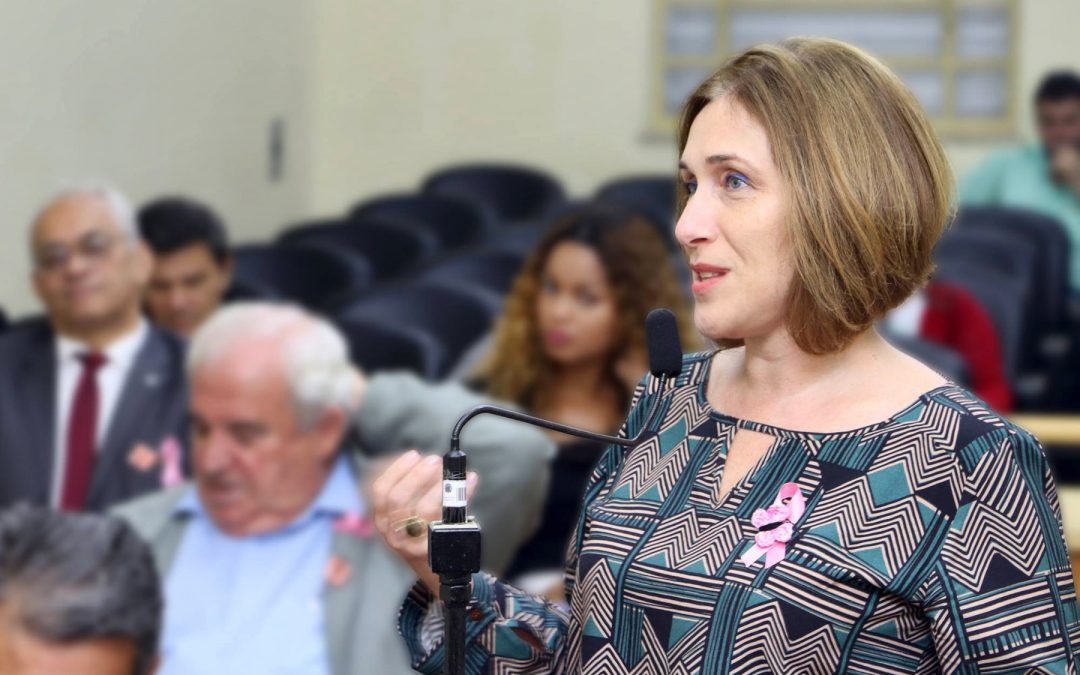 Projeto de Juliana Damus pode proibir rojões e fogos de artifício com ruído em Araraquara