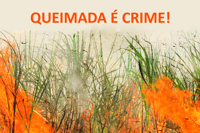 Queimada é crime