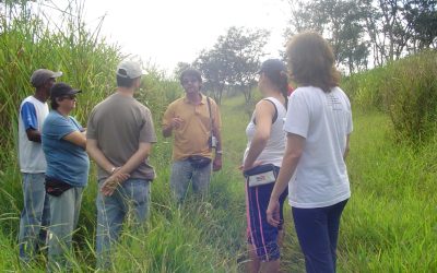 Educadores que aderiram ao “Verde que Alimenta” visitam o Córrego Caixa D’Água