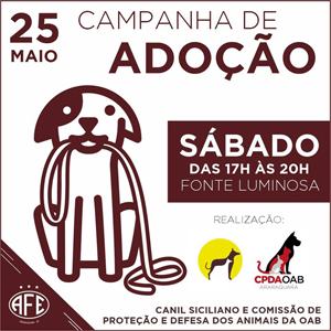 Jogo da Ferroviária terá ação em apoio a campanha de adoção