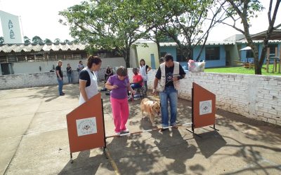 Movimento para implantação da Cãoterapia se inicia em Araraquara
