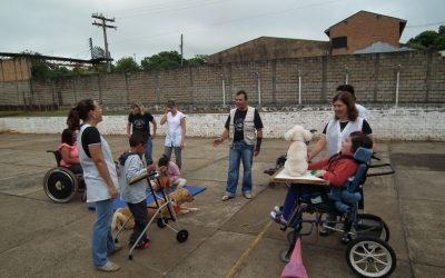 Juliana Damus tenta viabilizar Terapia Assistida por Animais