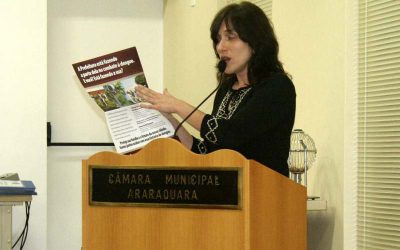 Requerimento de Juliana causa discussão