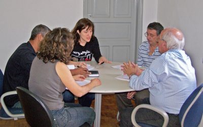 Juliana Damus pede retomada do programa de emplacamento de carroças