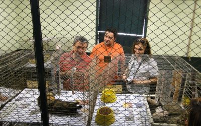 Juliana Damus conhece serviço de abrigo de animais de São Carlos