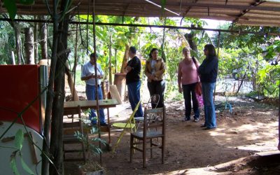 Alertados pela direção da ADPM, Juliana e Secretário do Meio Ambiente visitam área que vem sendo desmatada por moradores