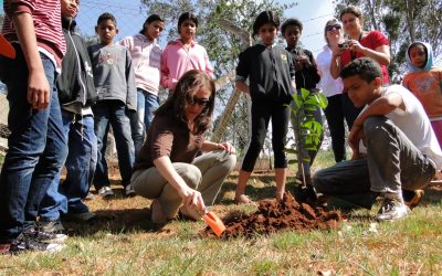 “Verde que Alimenta” plantará árvores frutíferas em mais 20 unidades da educação municipal